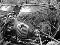 Autofriedhof - 159